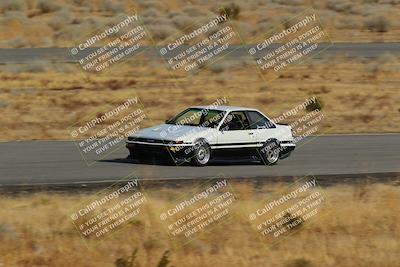 media/Feb-22-2025-Team Topak Racing (Sat) [[cb57a51a40]]/86 Party Brigade/Turns 2 and 4/